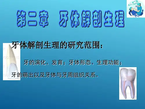 牙体解剖生理—牙体解剖应用名称与解剖标志(口腔解剖生理学课件)