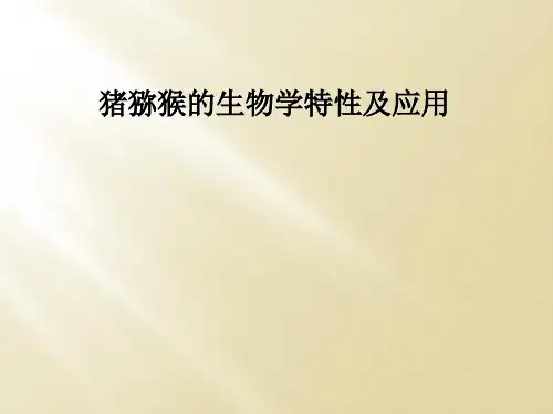 猪猕猴的生物学特性及应用