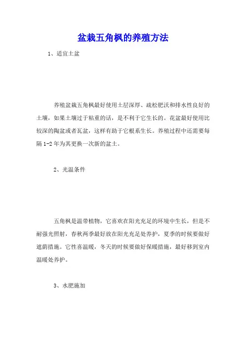 盆栽五角枫的养殖方法