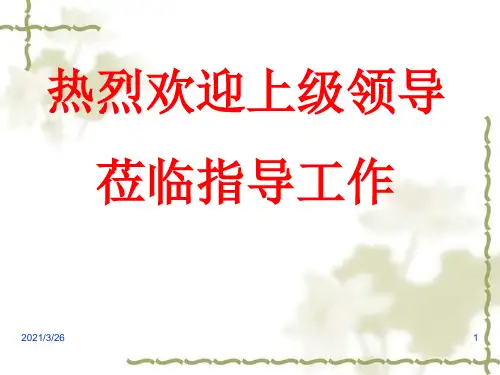 《文明村电子台帐》PPT课件