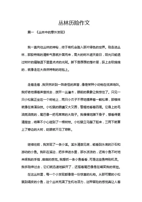 丛林历险作文
