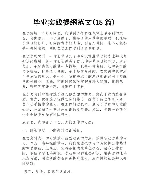 毕业实践提纲范文(18篇)