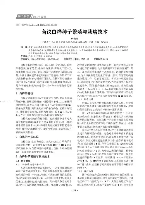 刍议白桦种子繁殖与栽培技术