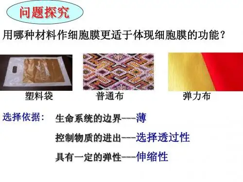 12--10生物膜的流动镶嵌模型