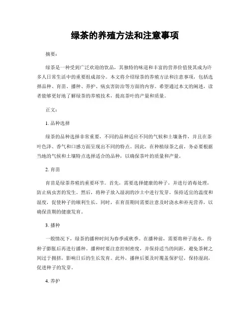 绿茶的养殖方法和注意事项