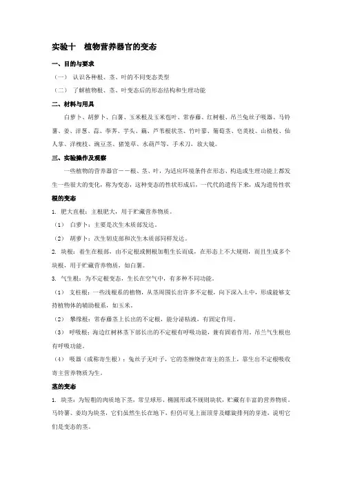 十植物营养器官的变态