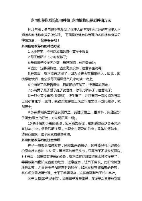 多肉出芽以后该如何种植_多肉植物出芽后种植方法