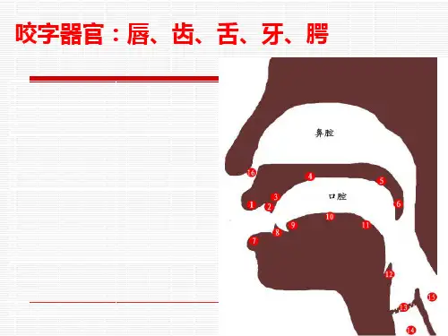国培普通话语音基础知识韵母ppt课件