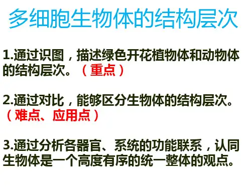 1.2.3多细胞生物体的结构层次