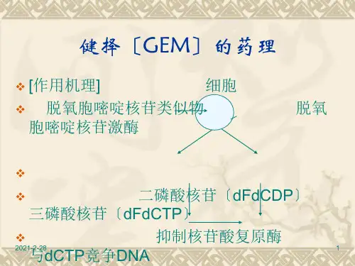 吉西他滨健泽简介课件幻灯