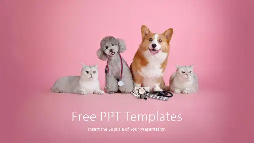 宠物医院介绍ppt模板