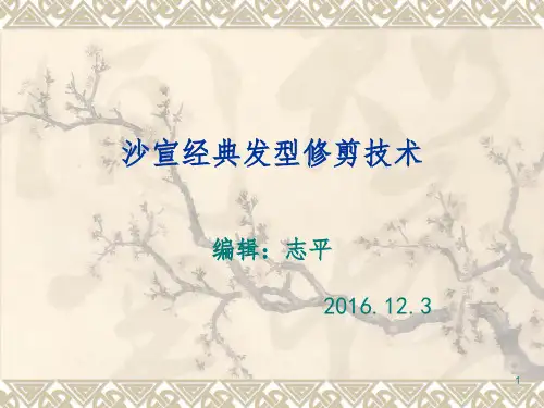 沙宣经典发型修剪技术16.12.3PPT课件