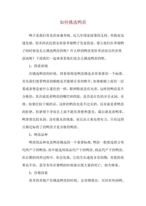 如何挑选鸭苗