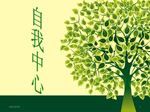 自我中心人格PPT课件