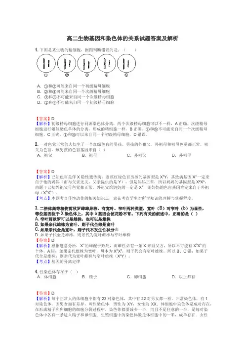 高二生物基因和染色体的关系试题答案及解析
