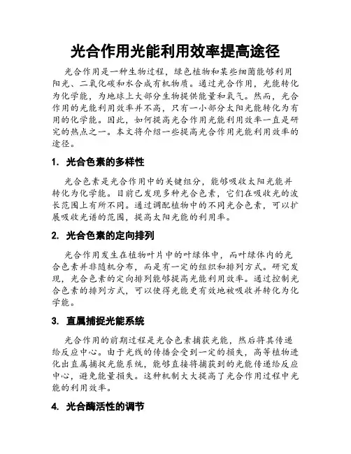 光合作用光能利用效率提高途径