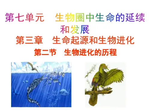 7.生物进化的历程课件(人教版生物)