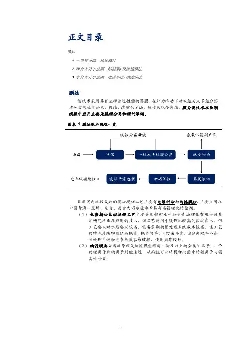 盐湖提锂技术之膜法工艺特点分析
