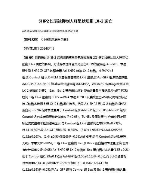 SHP2过表达抑制人肝星状细胞LX-2凋亡