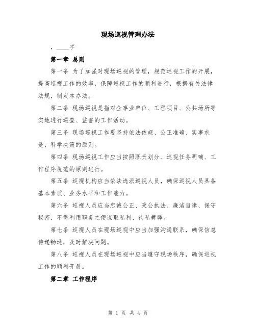 现场巡视管理办法