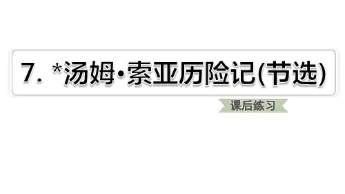 《汤姆·索亚历险记》PPT教学课件(完美版)