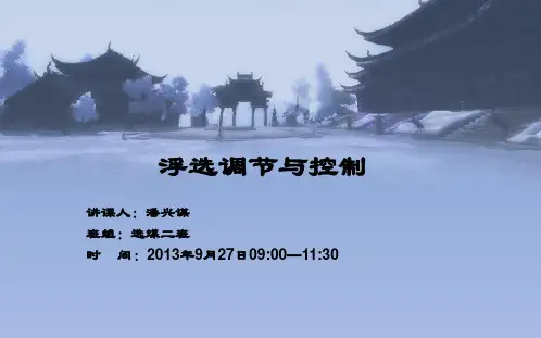 浮选调节与控制(选煤二班)
