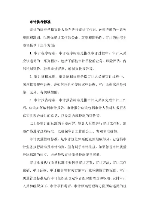 审计执行标准