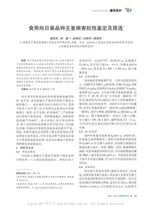 食用向日葵品种主要病害抗性鉴定及筛选