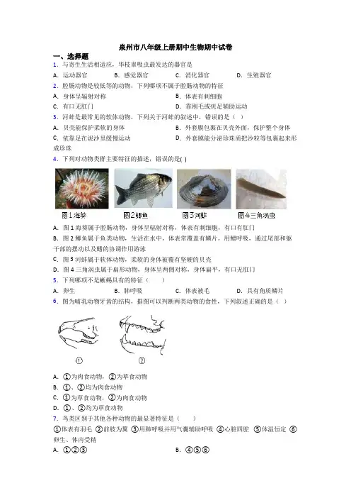 泉州市八年级上册期中生物期中试卷