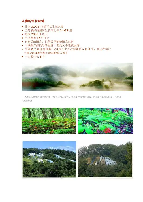 人参的生长环境