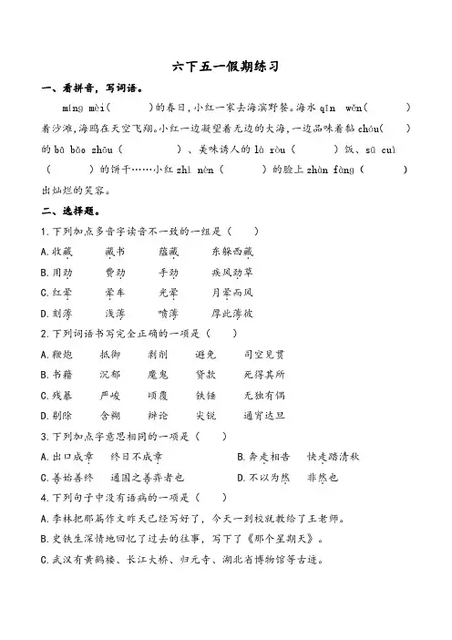 语文六下五一假期练习 (1)