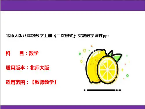 北师大版八年级数学上册《二次根式》实数教学课件ppt