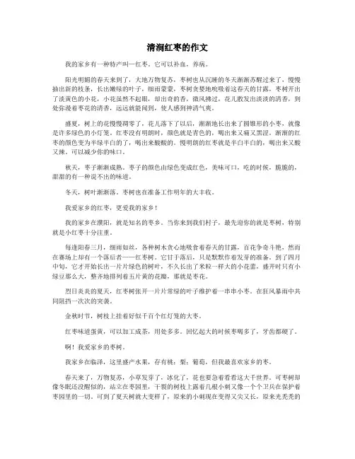 清涧红枣的作文