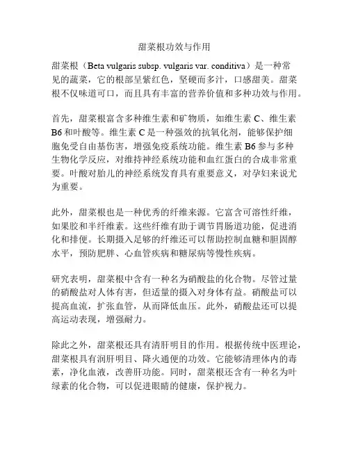 甜菜根功效与作用