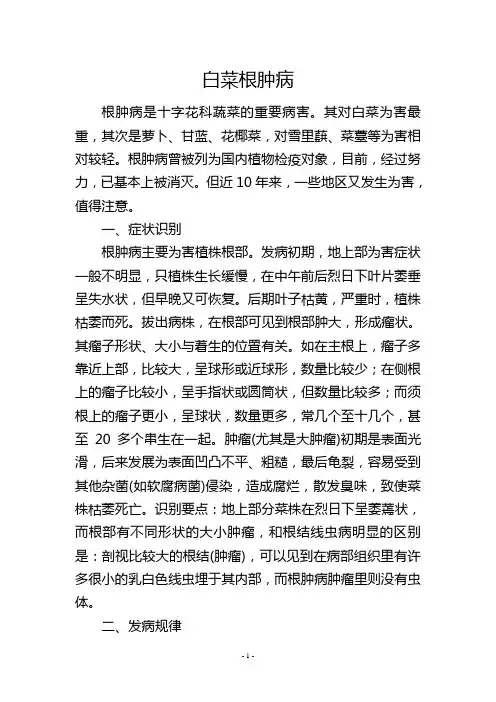 白菜根肿病
