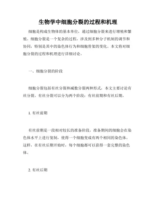 生物学中细胞分裂的过程和机理