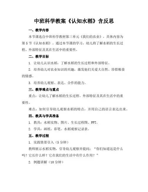 中班科学教案《认知水稻》含反思