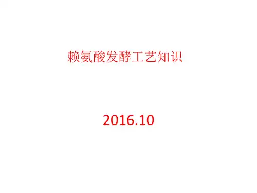 赖氨酸发酵工艺培训材料