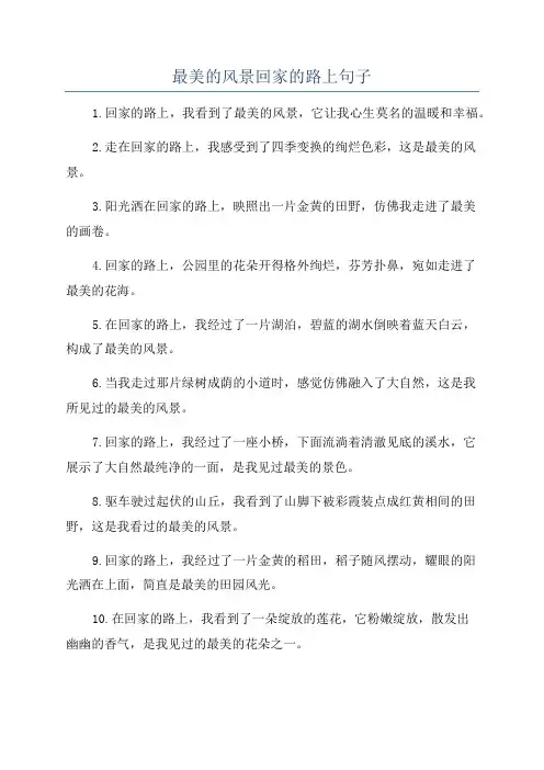 最美的风景回家的路上句子