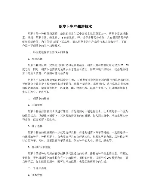胡萝卜生产栽培技术
