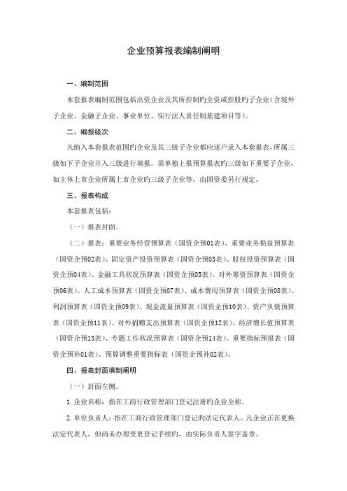 企业预算报表编制说明