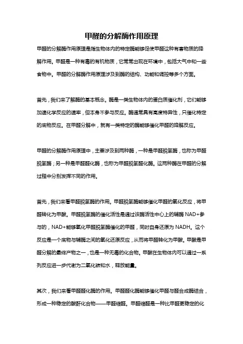 甲醛的分解酶作用原理