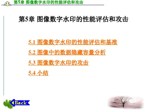 第5章 图像数字水印的性能评估和攻击