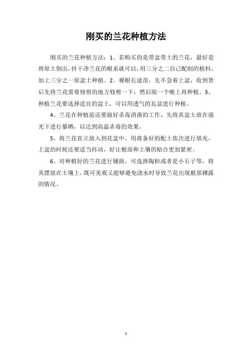 刚买的兰花种植方法