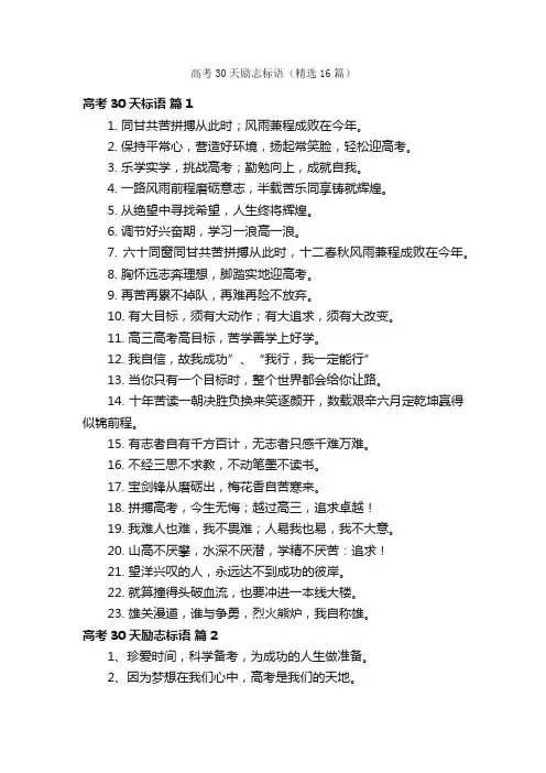 高考30天励志标语（精选16篇）