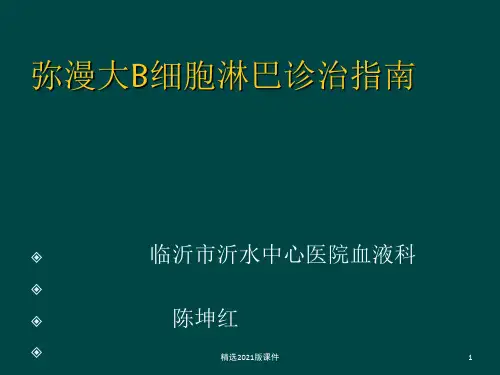 中国弥漫大B细胞淋巴瘤诊疗指南