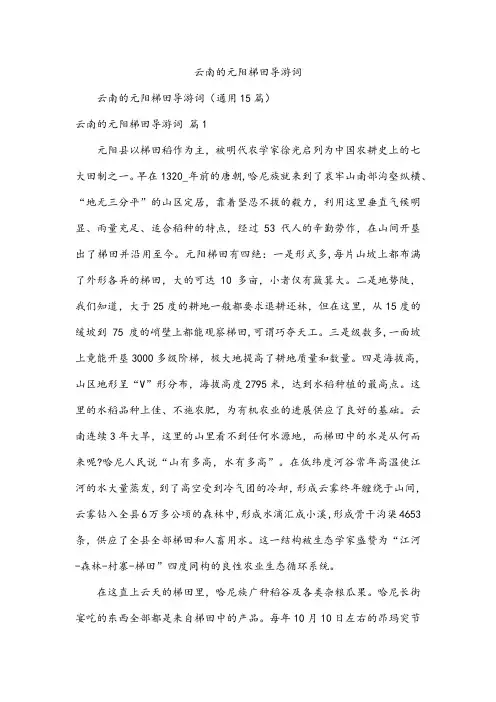 云南的元阳梯田导游词