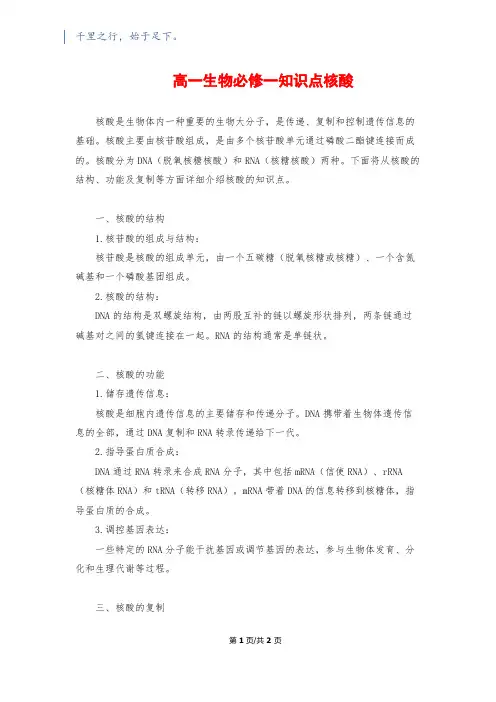 高一生物必修一知识点核酸