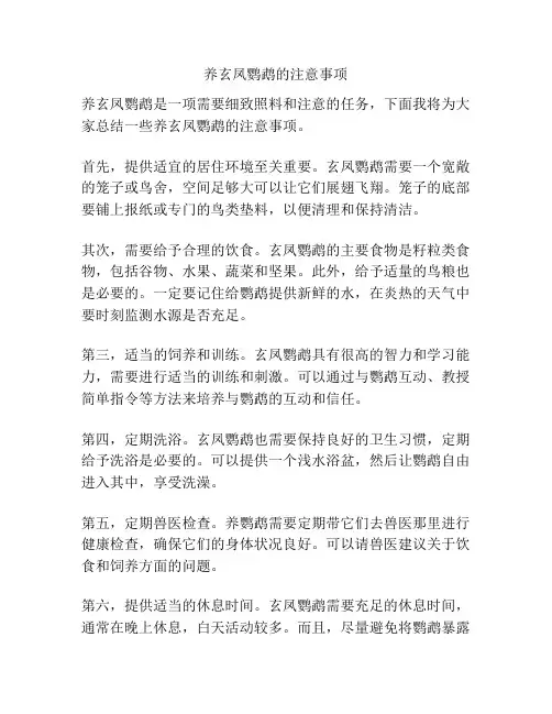 养玄凤鹦鹉的注意事项