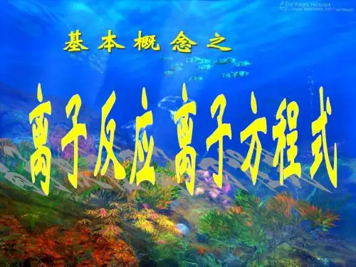 高考专题复习——离子反应